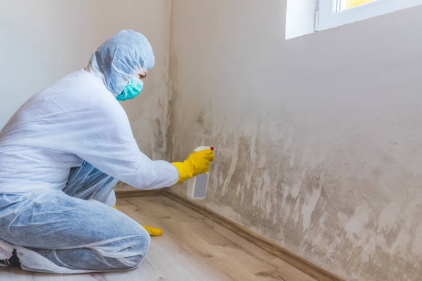Bathroom Mold Removal assessment in Cedar Springs bathroom